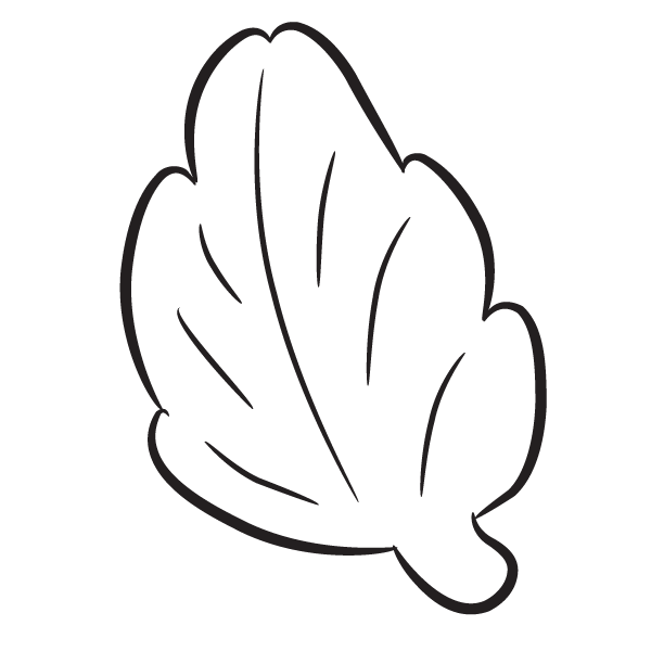 Leaf Coloring Page