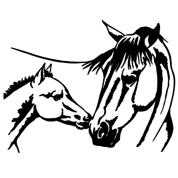 Horse and Foal Coloring Page