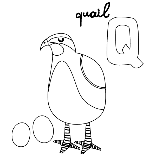 Q for Quail Coloring Page