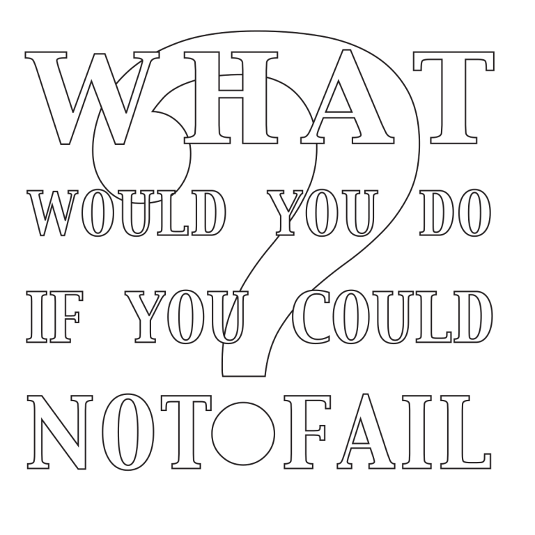 What Would You Do If You Could Not Fail?