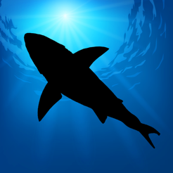 Megalodon: The Ancient Shark