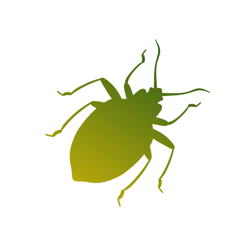 Insecta: Explore the World of Insects